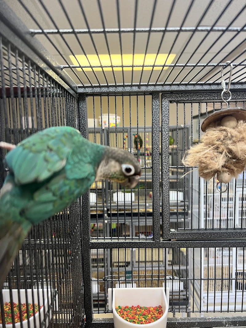 John’s Exotic Pet Store - Photo 5