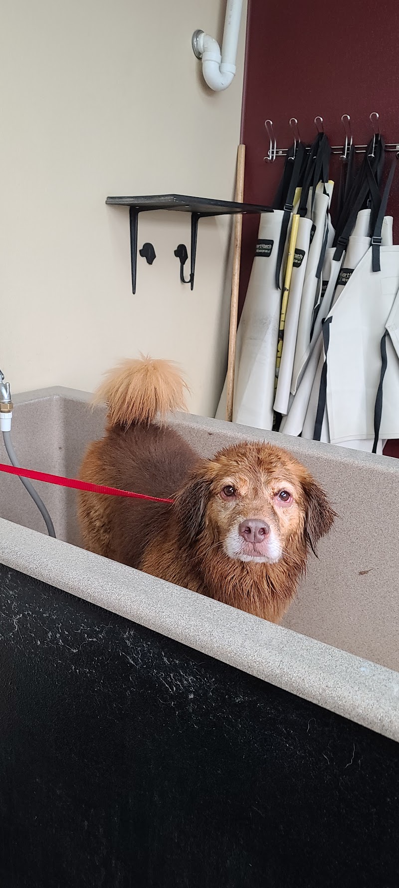 Busch Pet Products - Photo 4