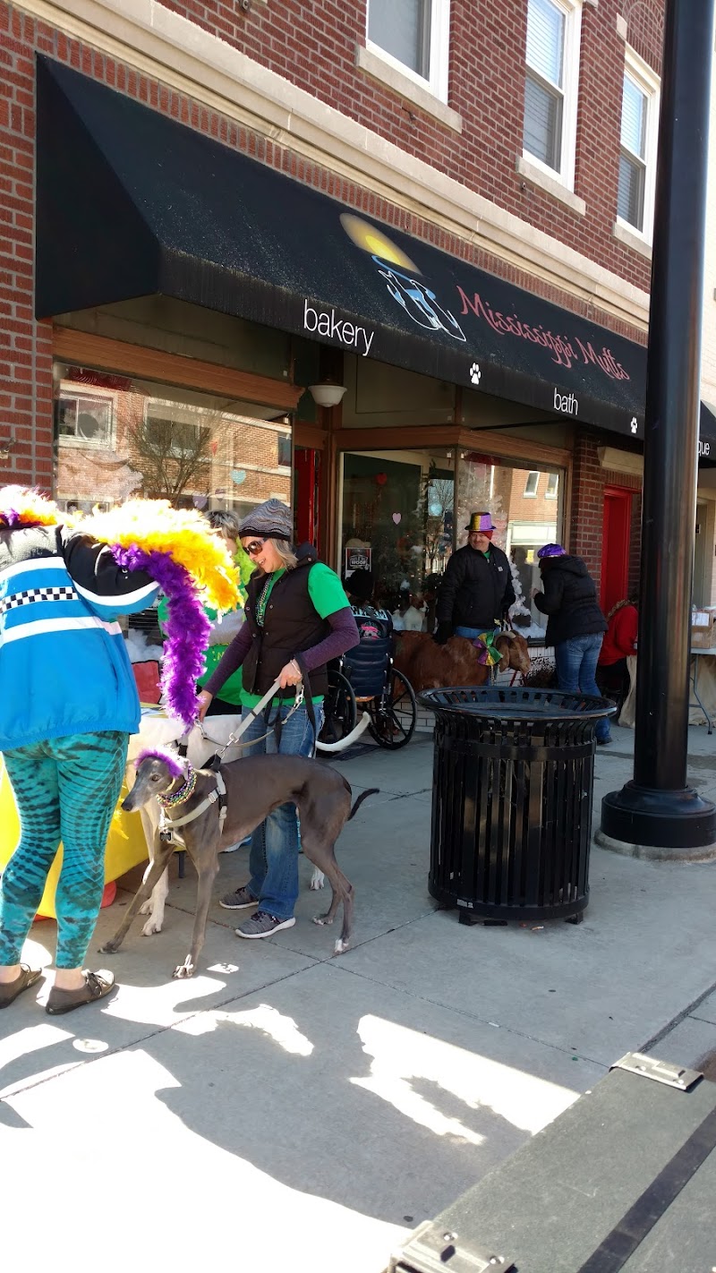 Mississippi Mutts - Photo 1