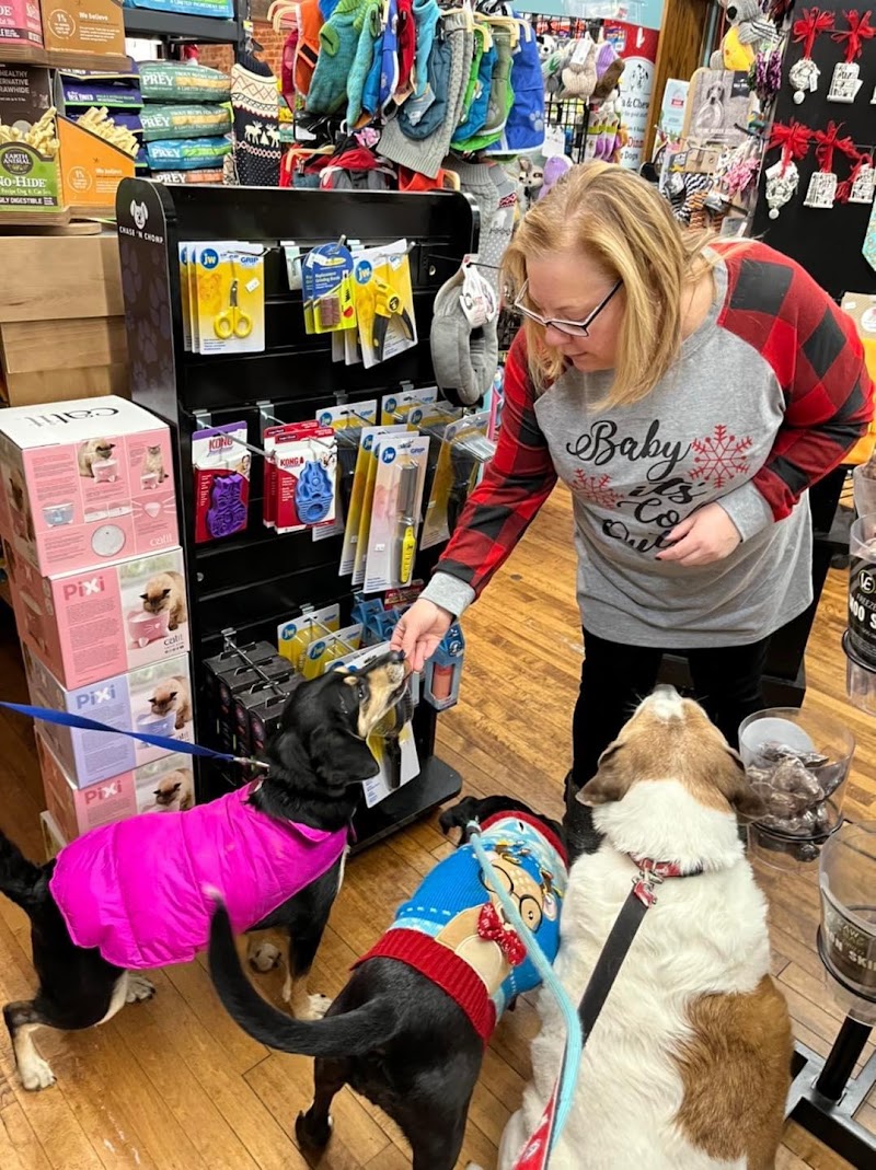 Mississippi Mutts - Photo 3