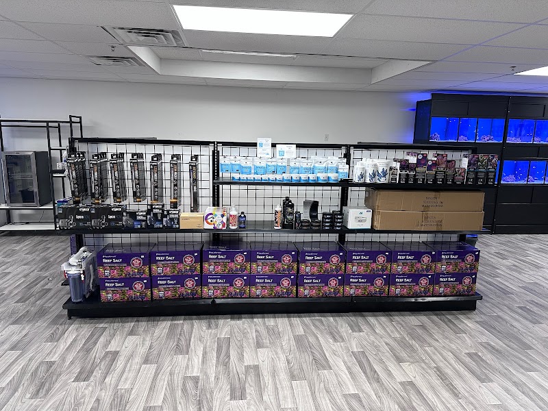 Liberty Reef - Photo 5