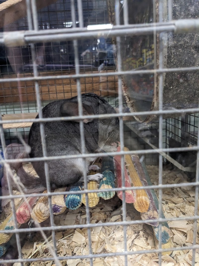 Columbia Pet Center - Photo 2