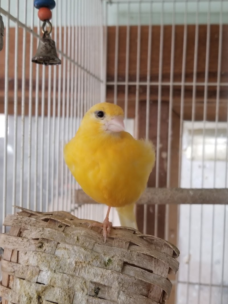 Columbia Pet Center - Photo 4