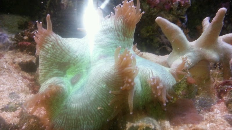 Paradise Pet Shop - Photo 2