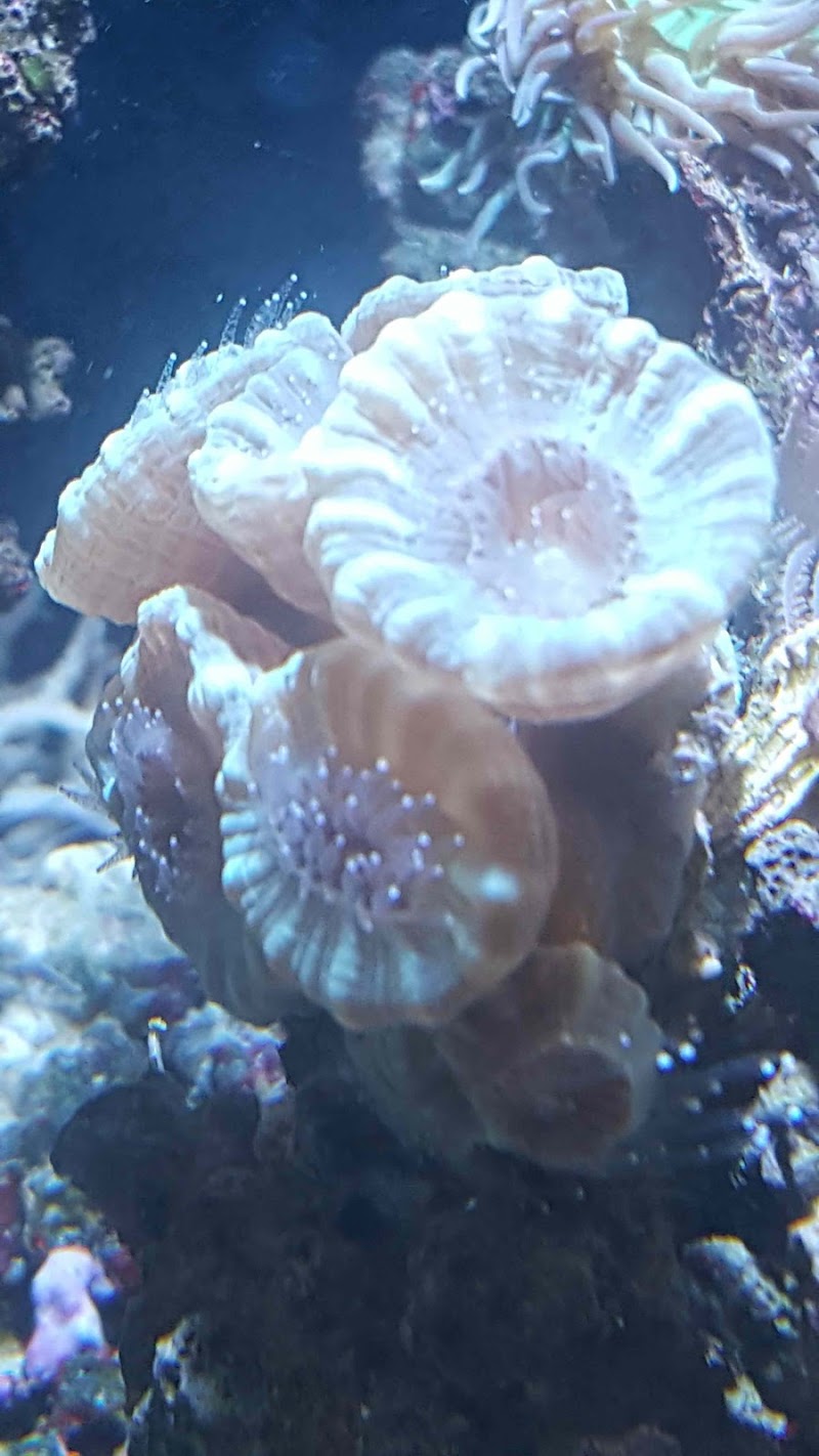 Paradise Pet Shop - Photo 5