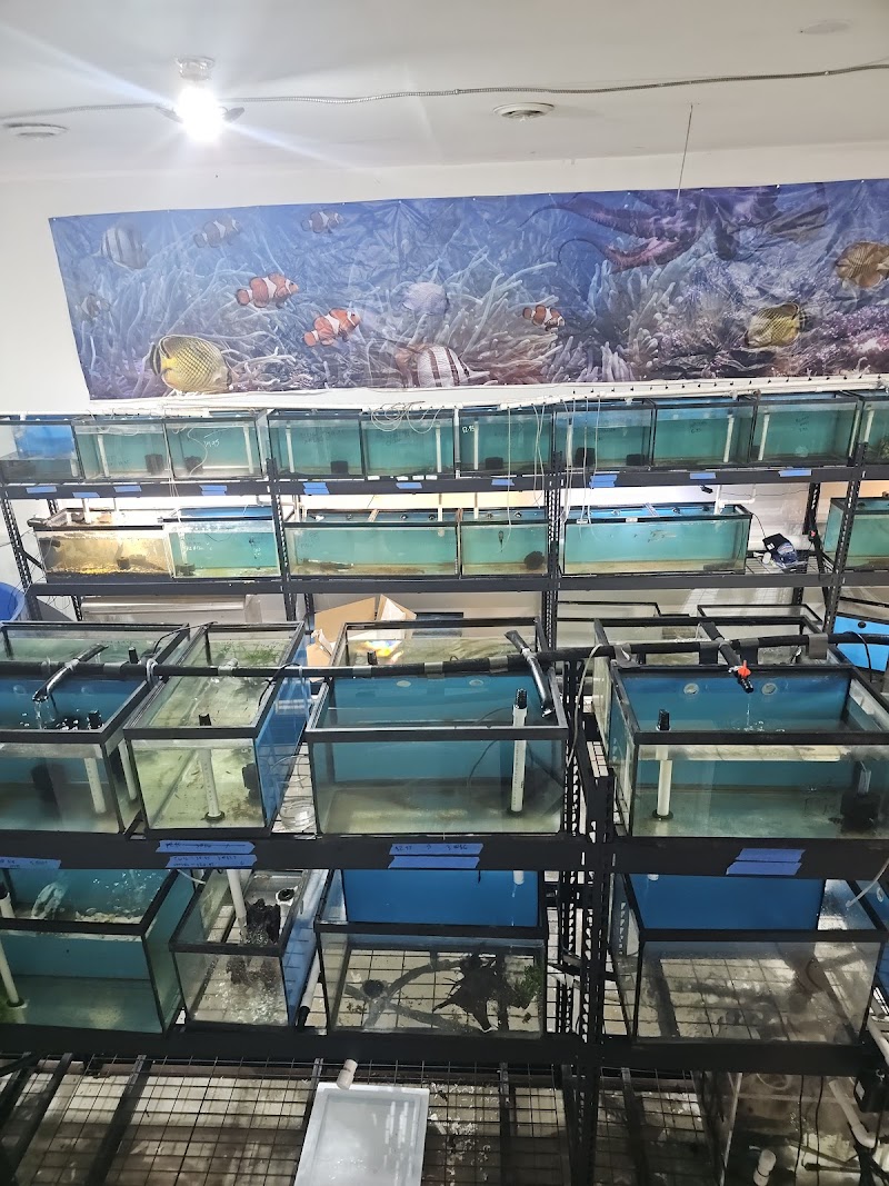 Midwest Aquatics - Photo 2