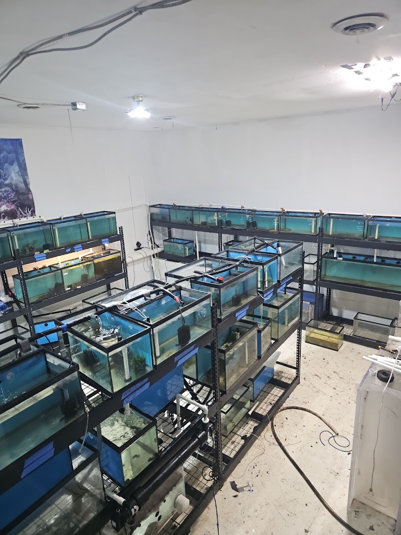 Midwest Aquatics - Photo 4