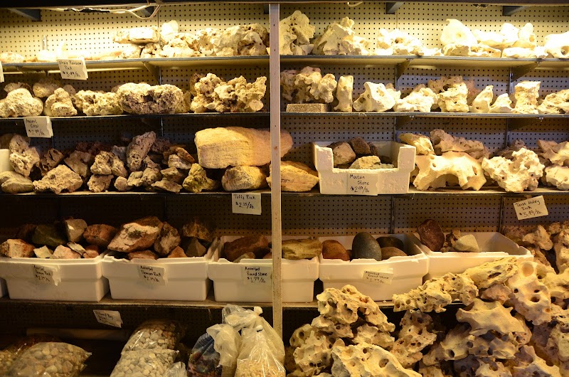 Malawi Aquatics - Photo 2