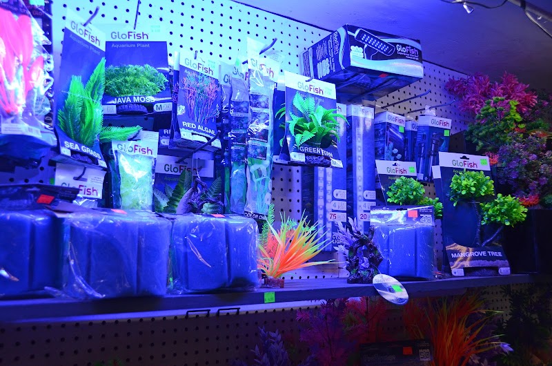 Malawi Aquatics - Photo 4