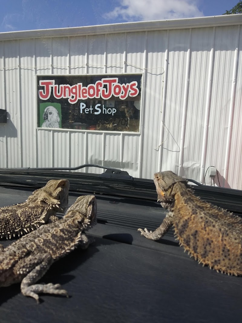 Jungle of Joys Pet Shop - Photo 1
