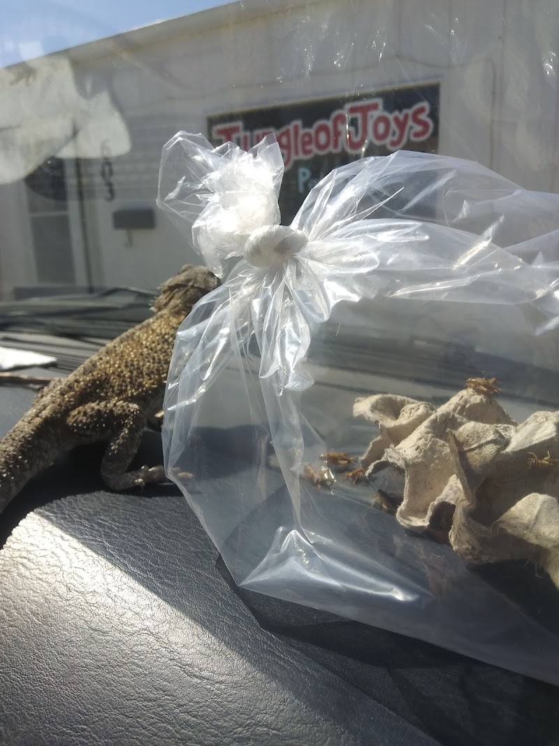 Jungle of Joys Pet Shop - Photo 4