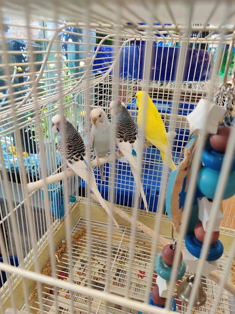 Jungle of Joys Pet Shop - Photo 5