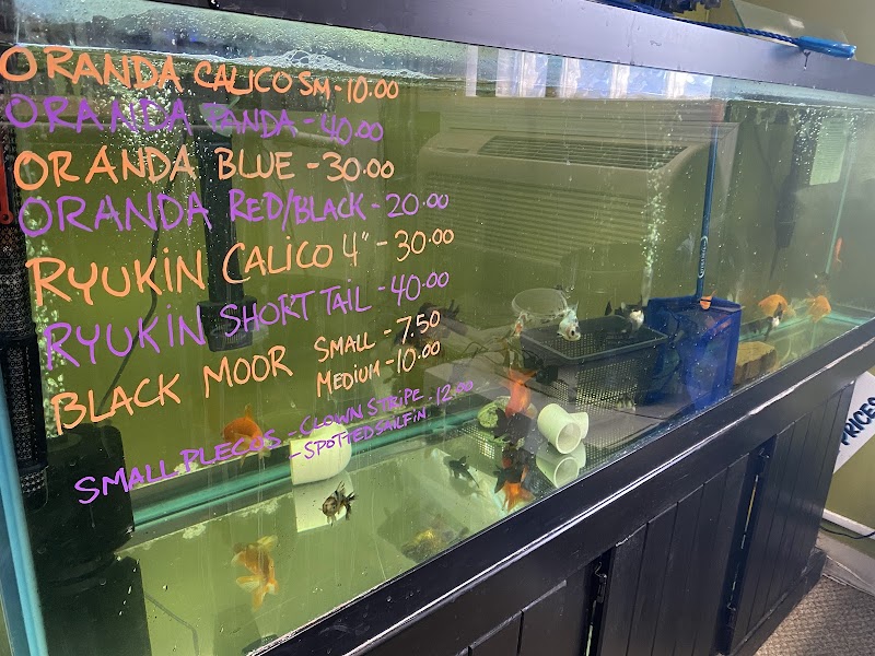 Kansas City Pond & Water Gardening - Photo 2