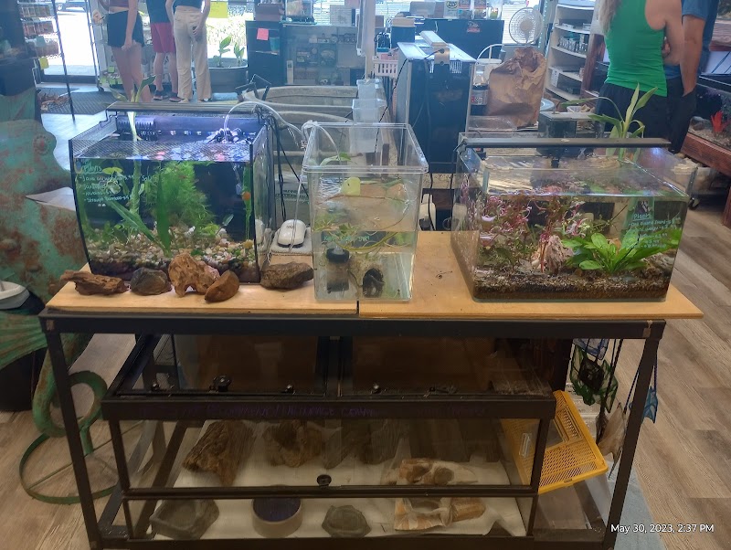 Lynn's Exotics & Aquatics - Photo 2