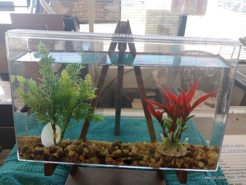 Lynn's Exotics & Aquatics - Photo 3