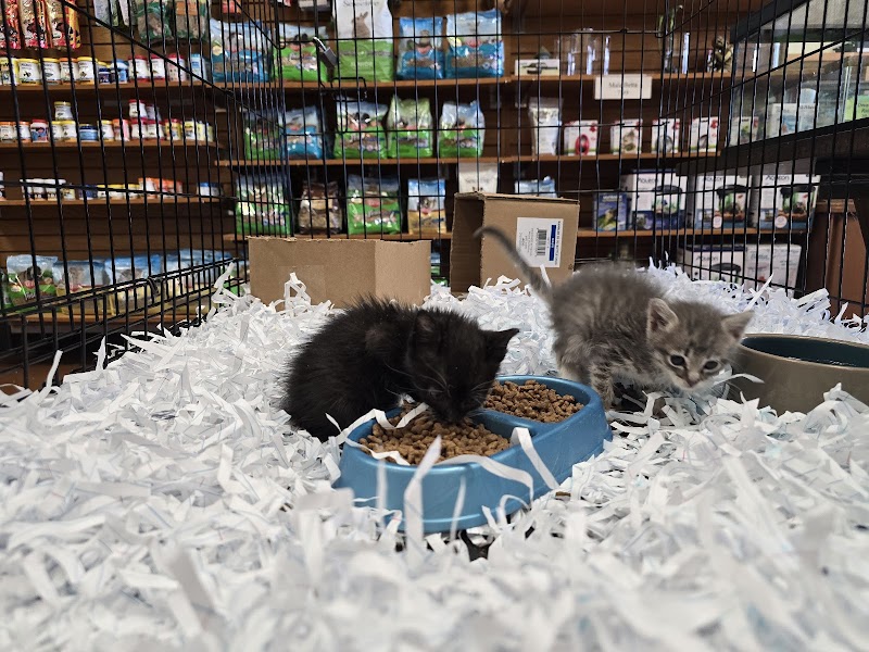 Dogpatch Pet Shop - Photo 2