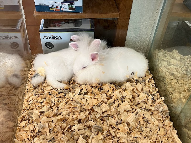 Dogpatch Pet Shop - Photo 4