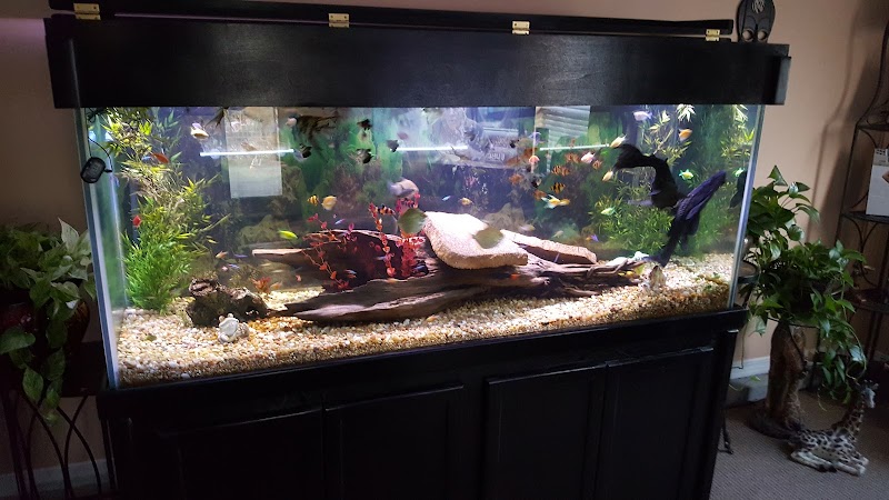 Crystal Reef Aquariums - Photo 2