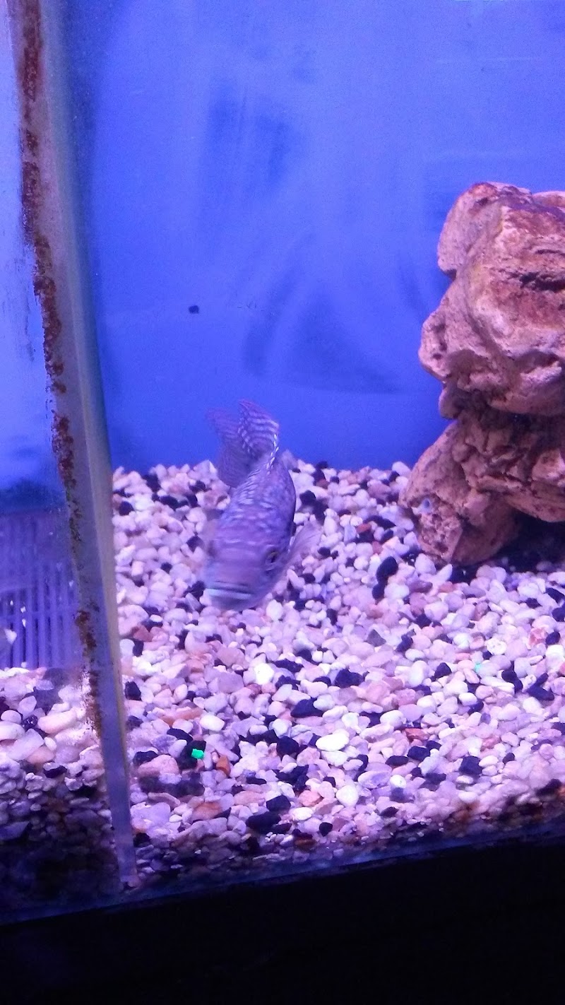 Crystal Reef Aquariums - Photo 3