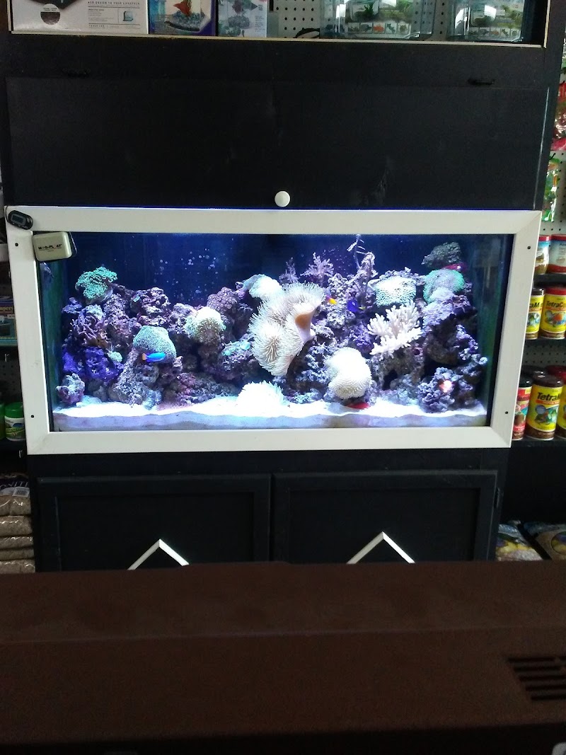 Crystal Reef Aquariums - Photo 4