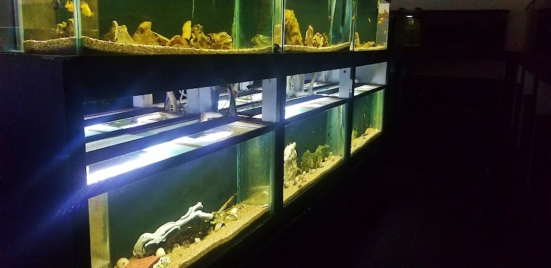 Aquarium Concepts - Photo 1