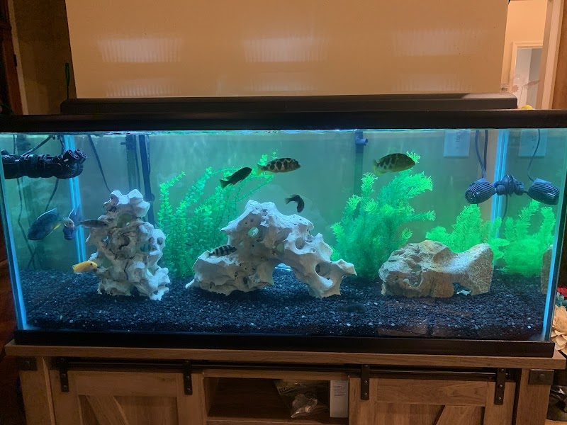 Aquarium Concepts - Photo 3