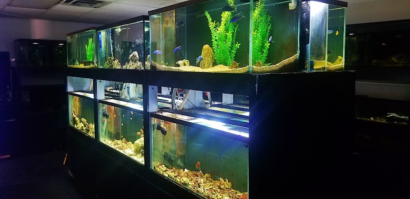 Aquarium Concepts - Photo 5