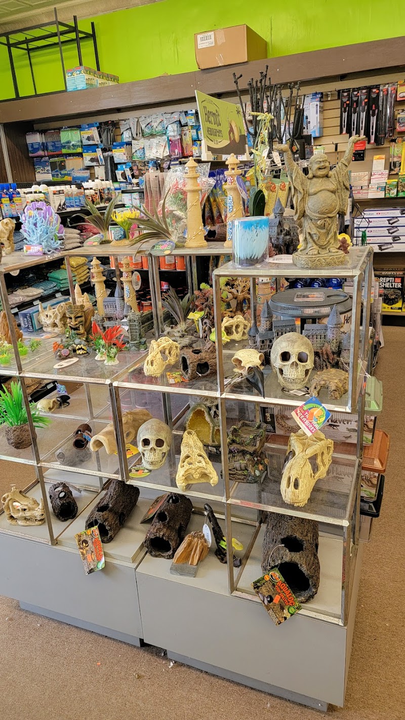 Gone Fishin Exotic Pets - Photo 3