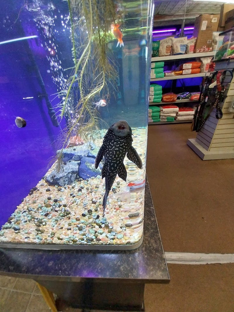 Gone Fishin Exotic Pets - Photo 4