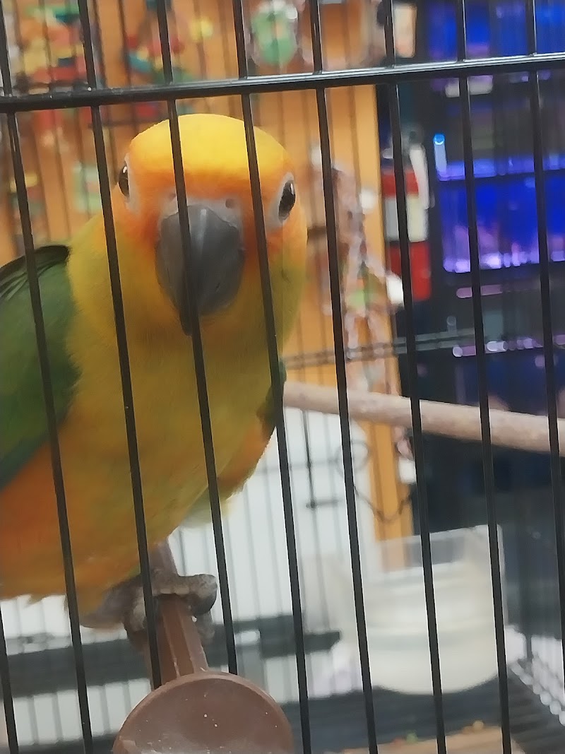 Gone Fishin Exotic Pets - Photo 5