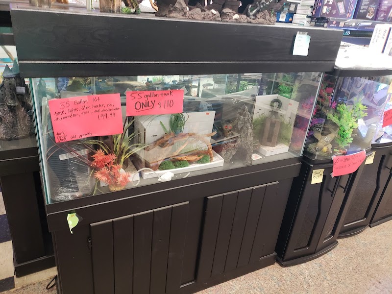 Pet Palace - Photo 2