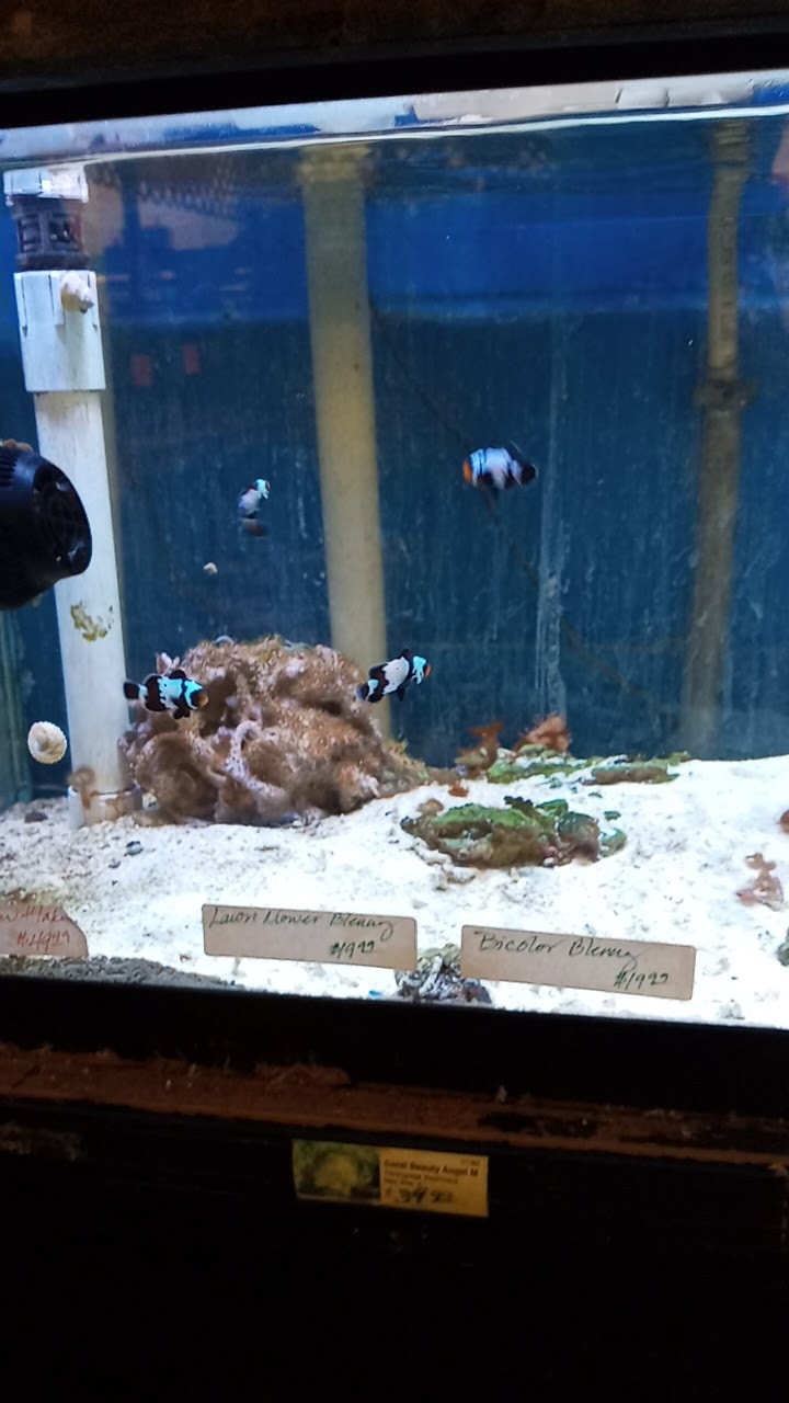 Pet Palace - Photo 4
