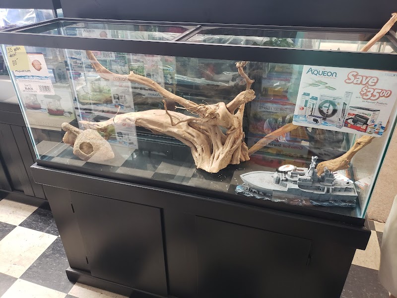 Pet Palace - Photo 5