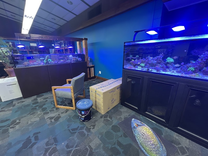 Treasure State Aquariums - Photo 1
