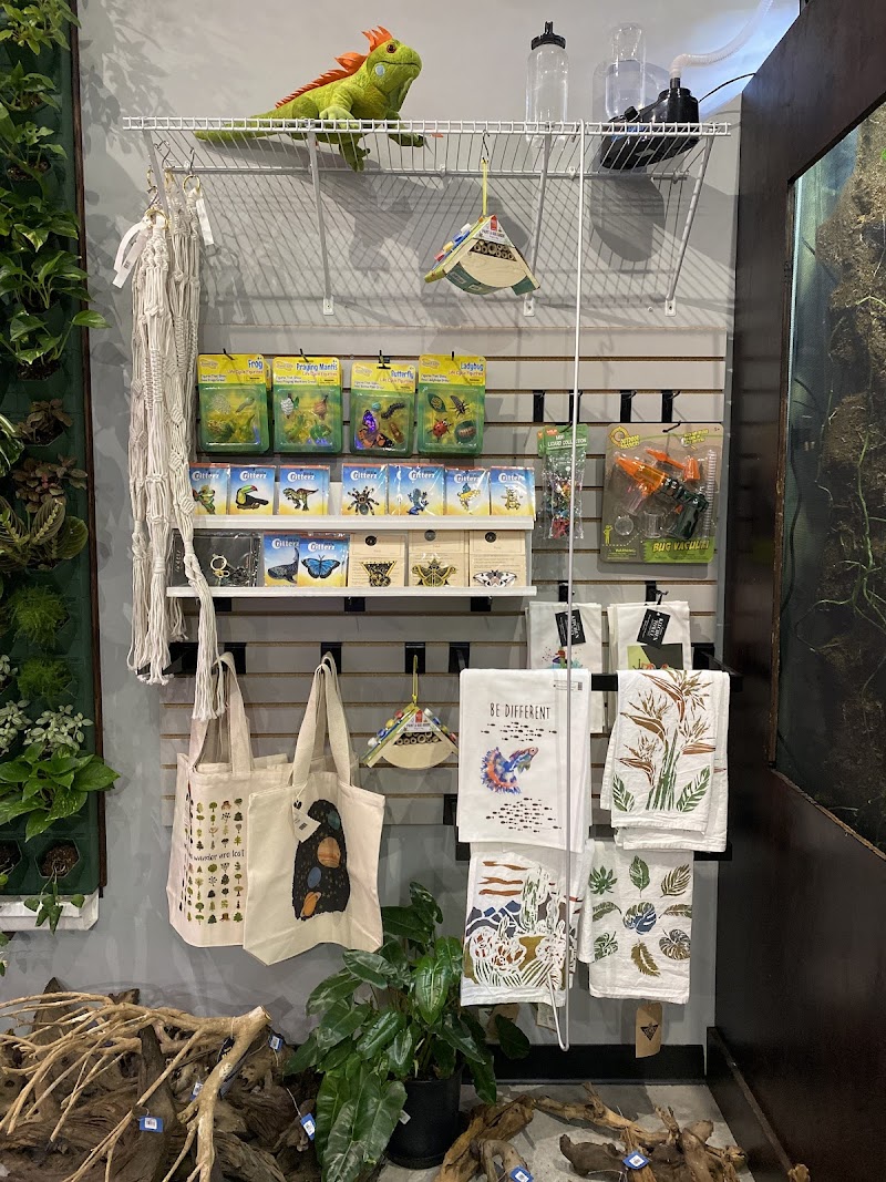 The Viv Bioactive - Photo 2