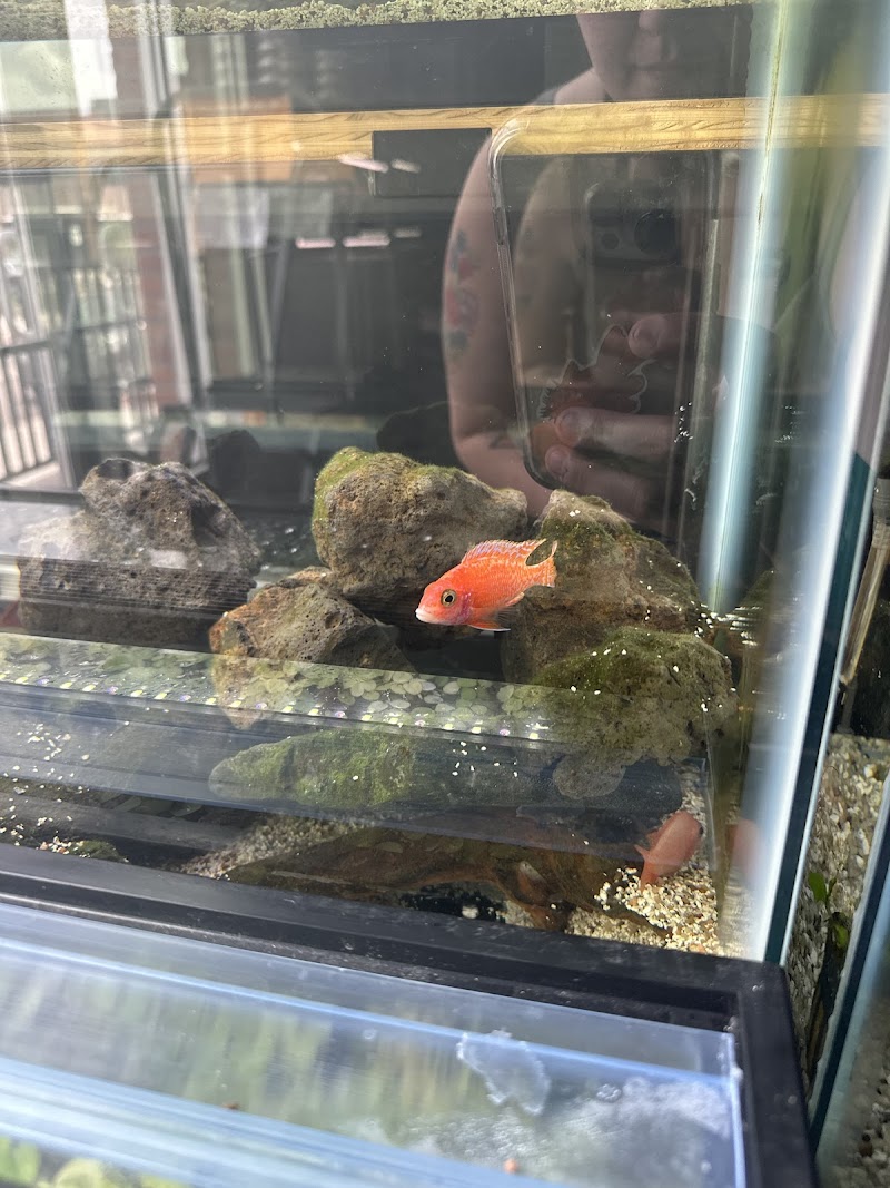 The Viv Bioactive - Photo 4