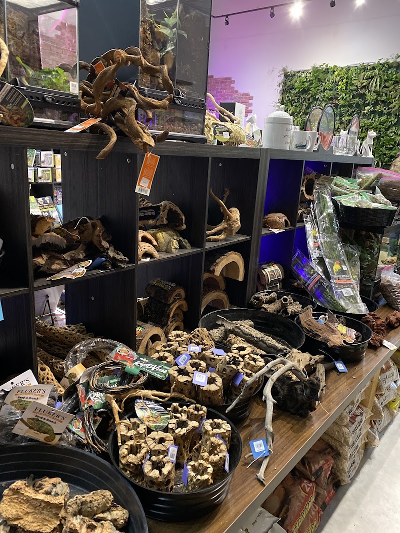 The Viv Bioactive - Photo 5