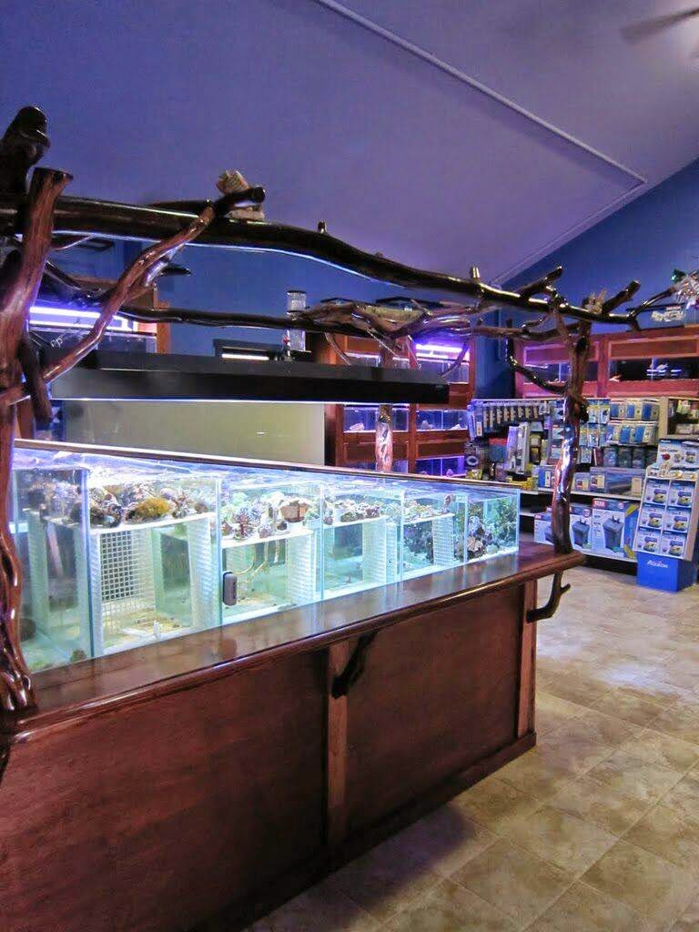 Crystal Clear Aquariums - Photo 1