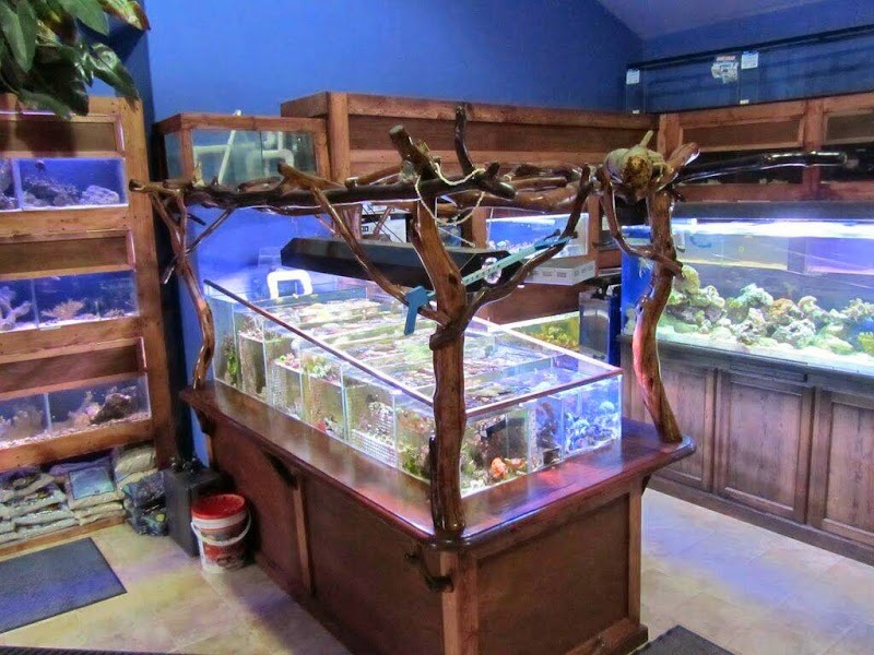 Crystal Clear Aquariums - Photo 5