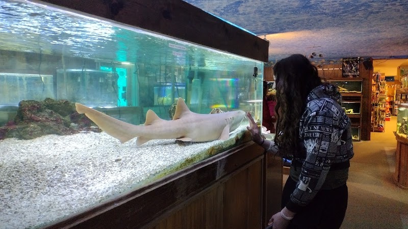 The Aquarium Shop - Photo 2