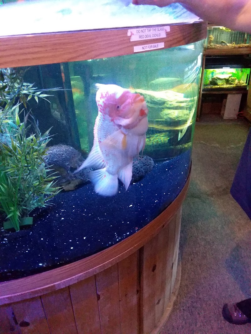 The Aquarium Shop - Photo 4