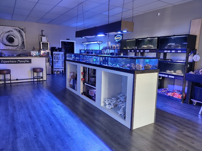 Aquariums Memphis - Photo 2