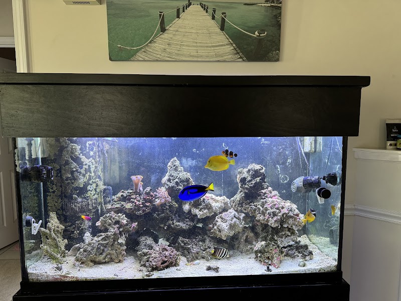 Aquariums Memphis - Photo 3