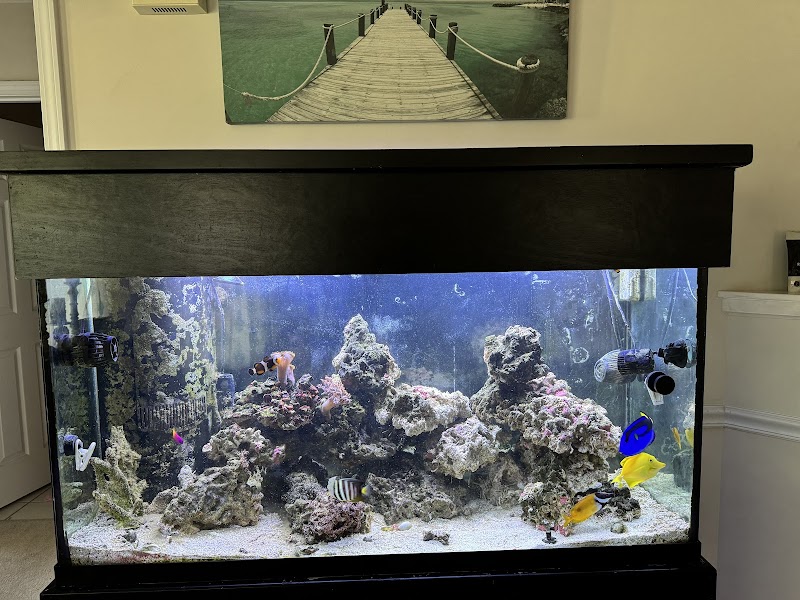 Aquariums Memphis - Photo 5