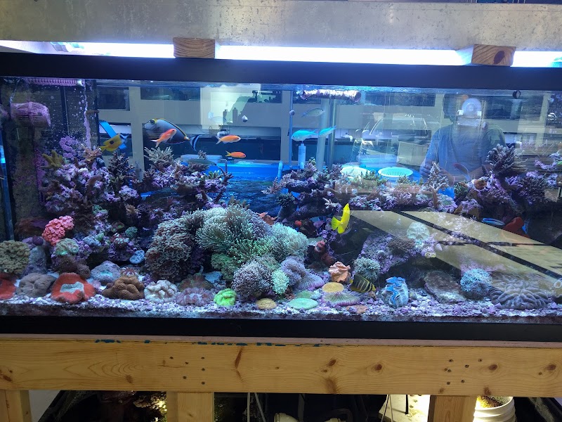 Fintastic Aquariums of Wake County Inc - Photo 2
