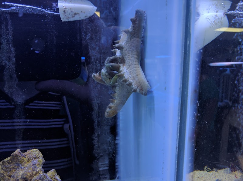 Fintastic Aquariums of Wake County Inc - Photo 3