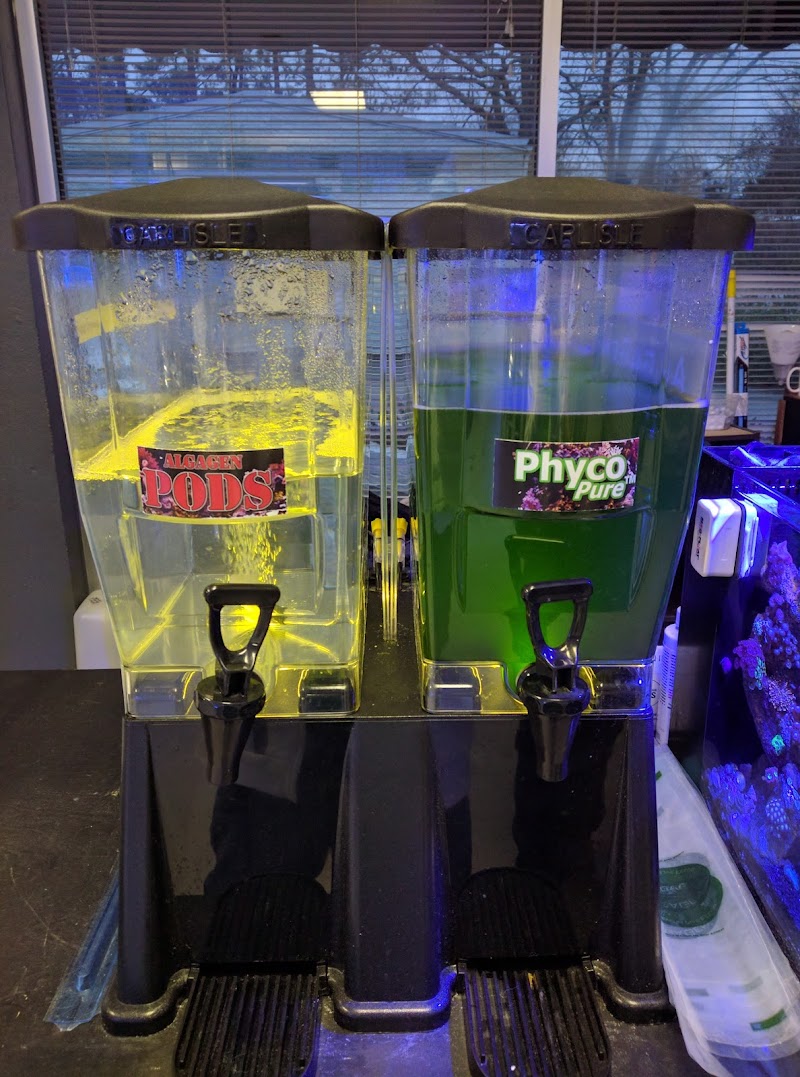 Fintastic Aquariums of Wake County Inc - Photo 4