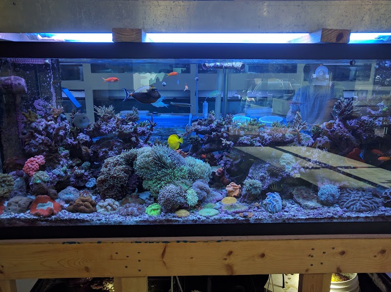 Fintastic Aquariums of Wake County Inc - Photo 5