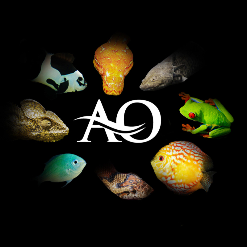 Aquarium Outfitters Carolina - Photo 2