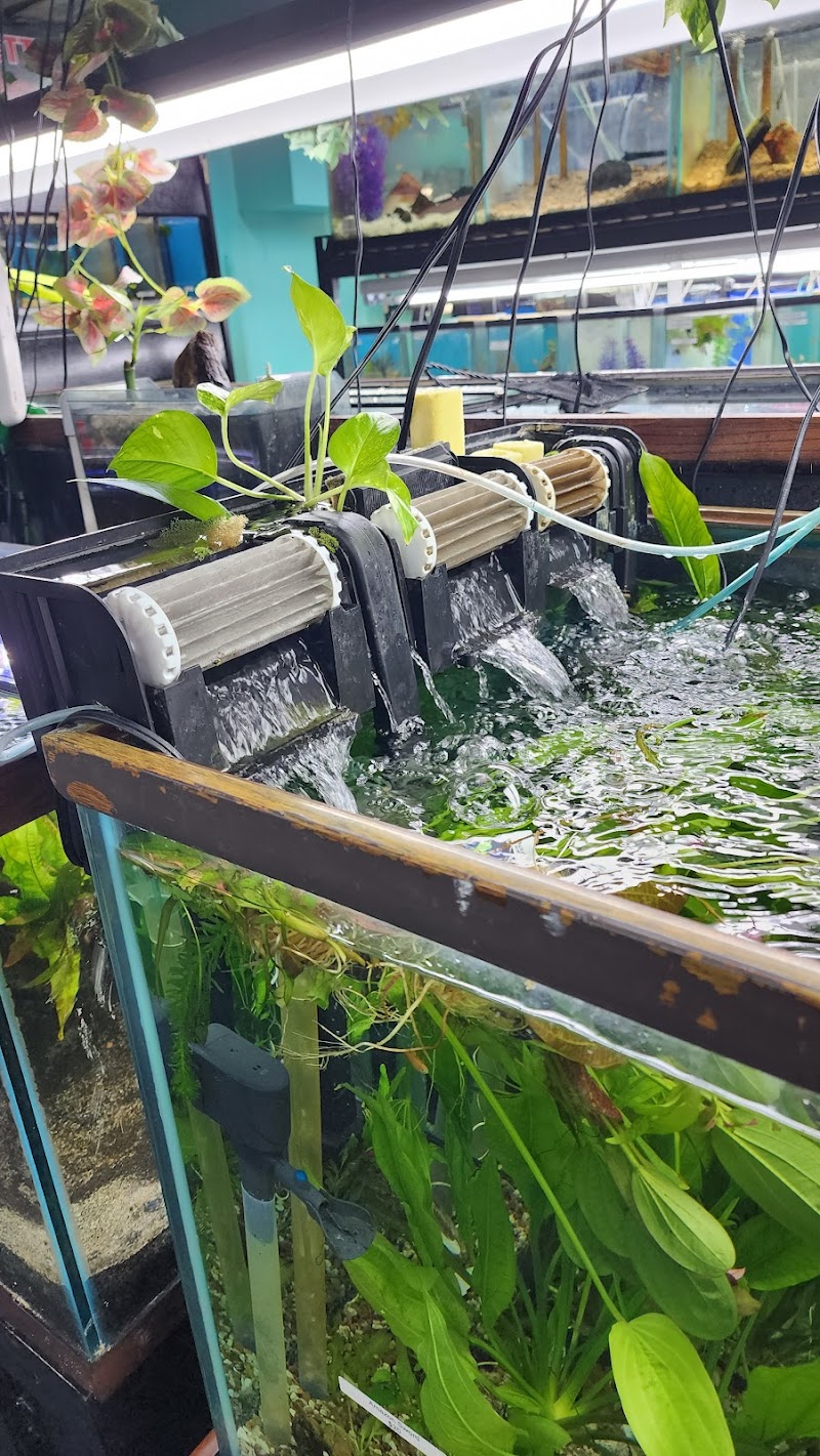 Aquarium Outfitters Carolina - Photo 3